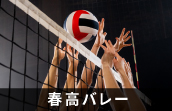 春高バレー